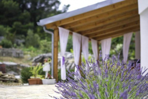 Maries Lavander Dream